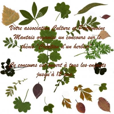 Concours herbier