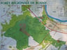 Foret de rosny 13